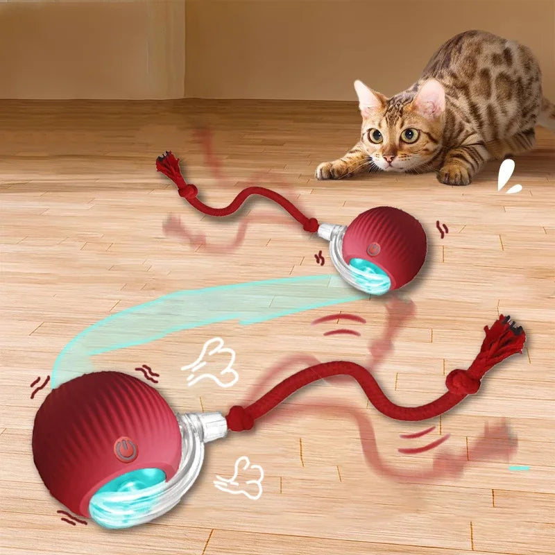 Automatic Rolling Ball Cat Toy - Moment Pets