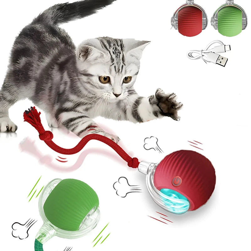 Automatic Rolling Ball Cat Toy - Moment Pets