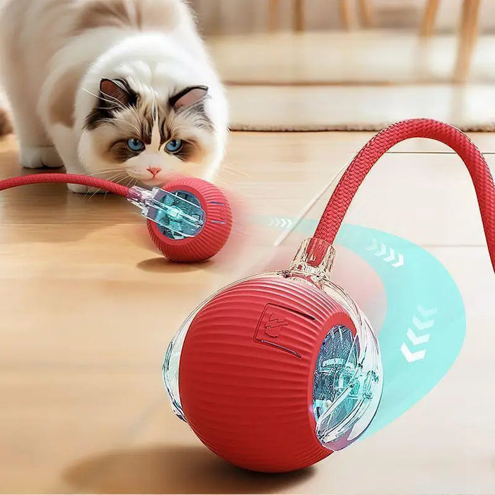 Automatic Rolling Ball Cat Toy