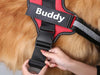 Custom ID Dog Harness - Moment Pets | Everything Your Pet Needs