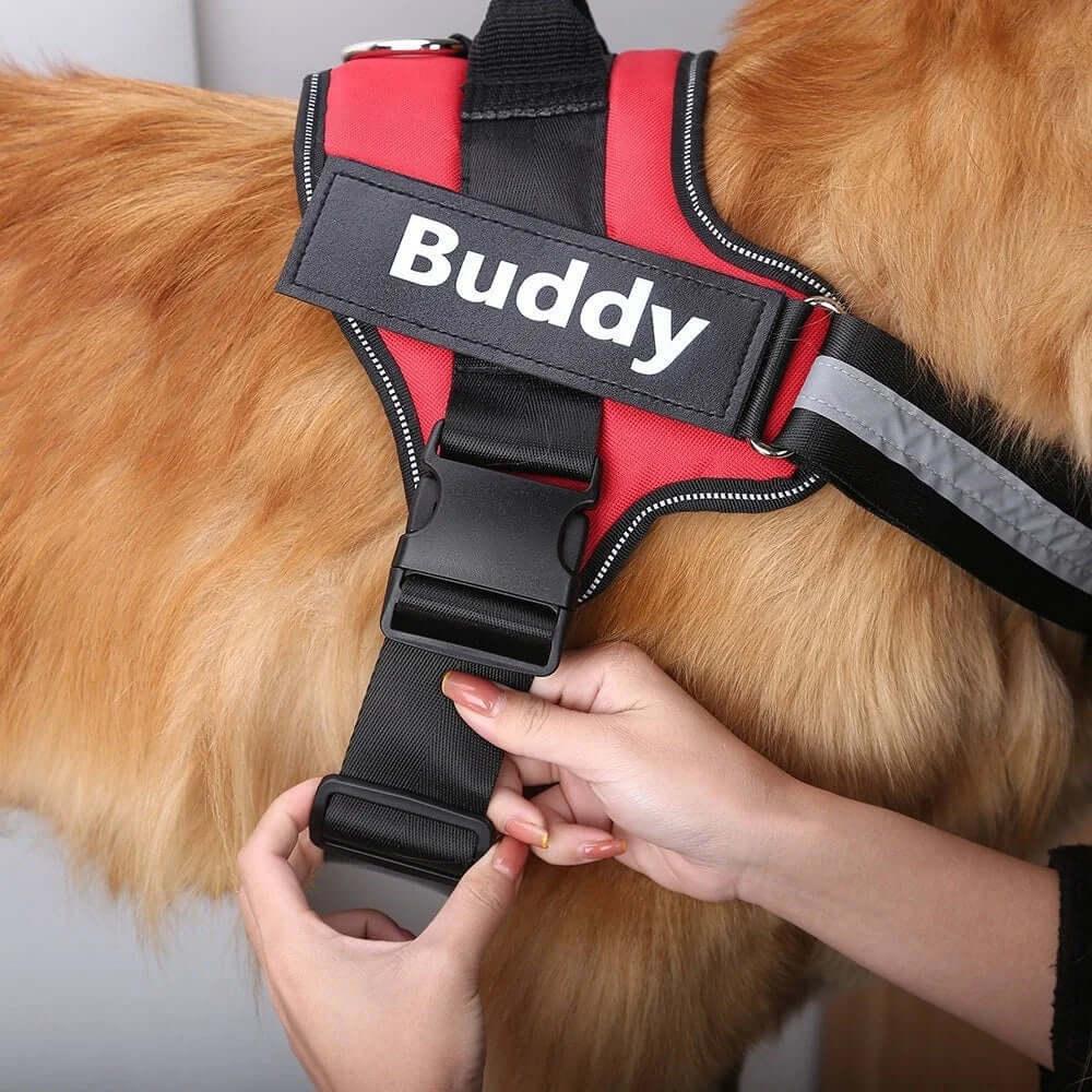 Custom Dog Harness - Personalized, Adjustable, Durable ID Pet Gear - Moment Pets