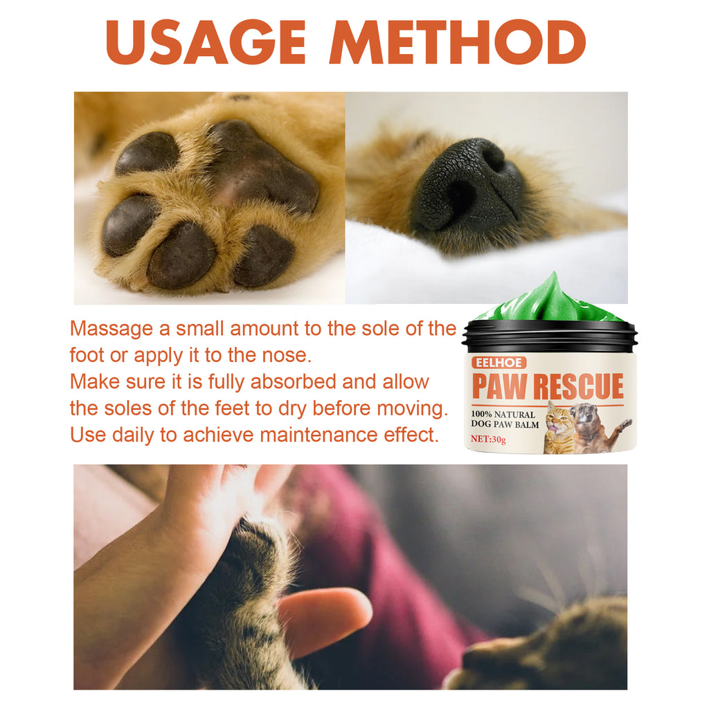 Paw Protection Balm — Winter Care