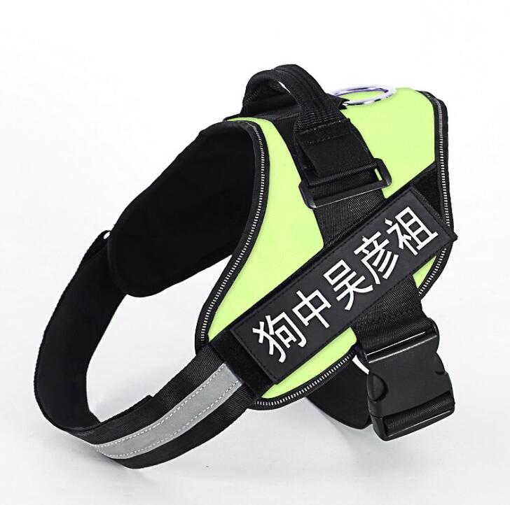Personalized No-Pull Dog Harness — Reflective, Custom Name