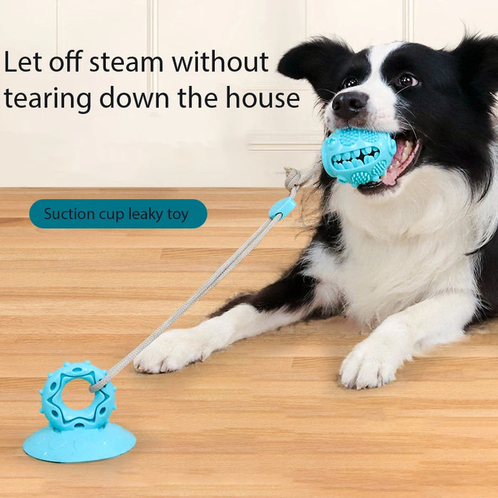 Dog Suction Cup Chew Toy