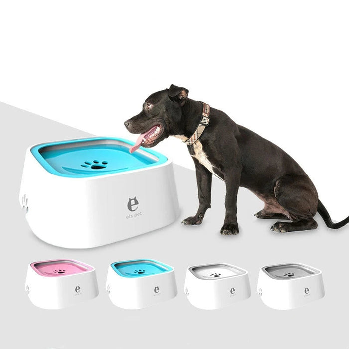 Dog Drinking Water Bowl