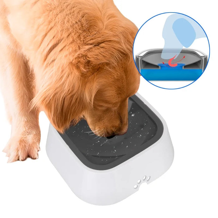 Dog Drinking Water Bowl