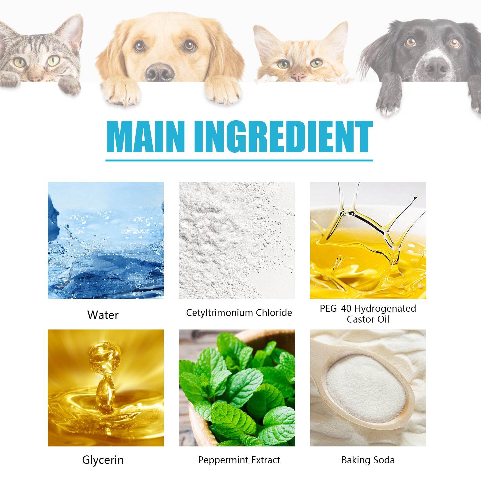 Dog & Cat Teeth Cleaner - Moment Pets