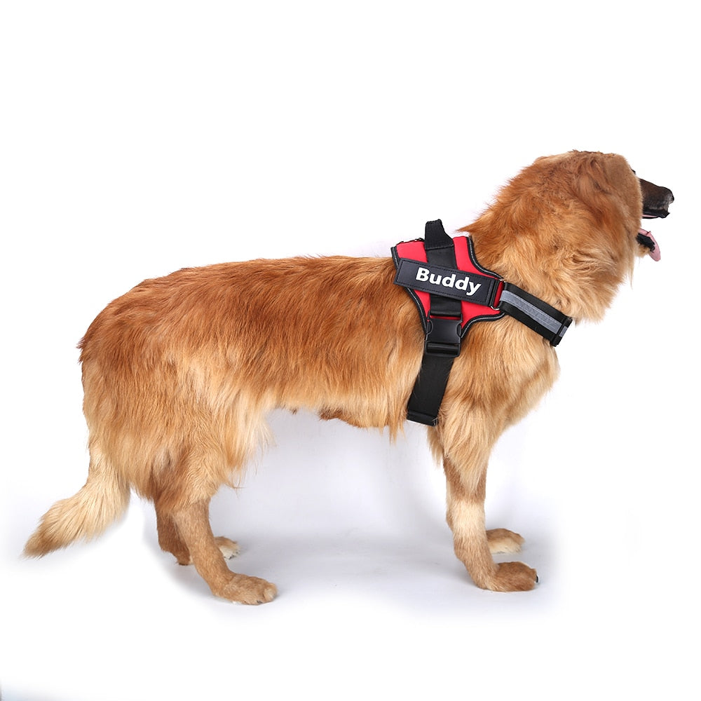 Personalized No-Pull Dog Harness — Reflective, Custom Name
