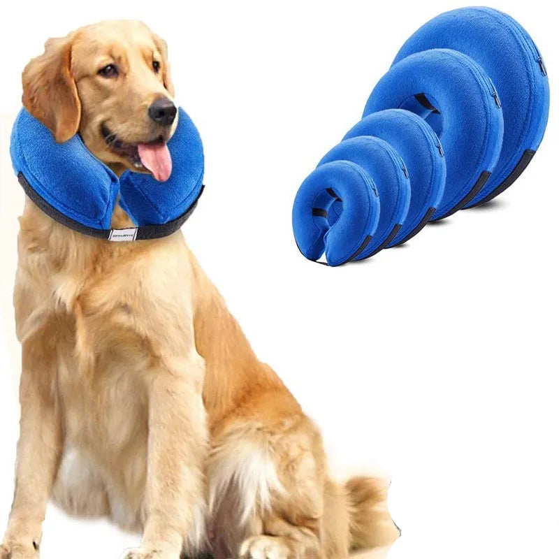 Soft Dog Cone Collar - Moment Pets