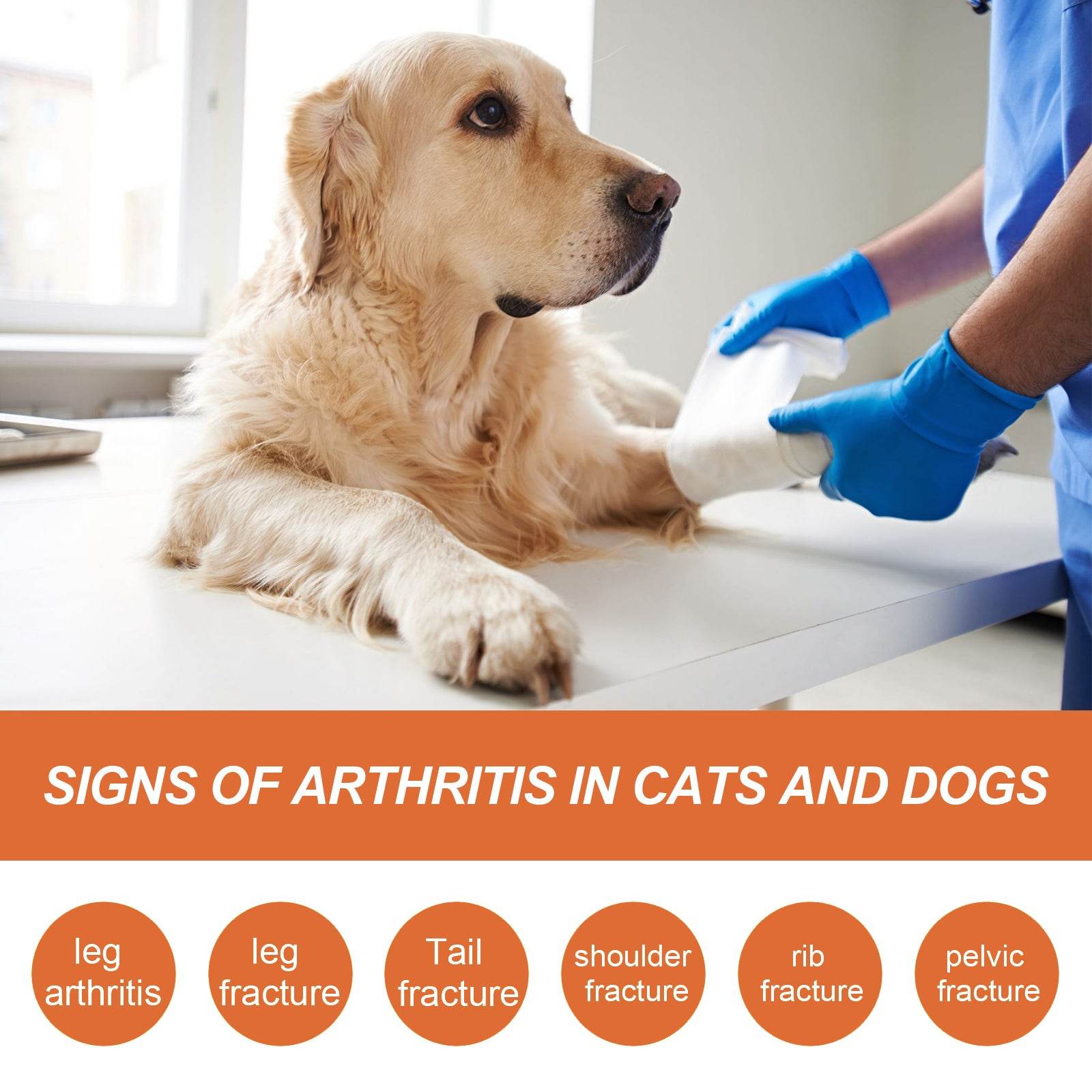Pet Joint Relief Spray - Moment Pets