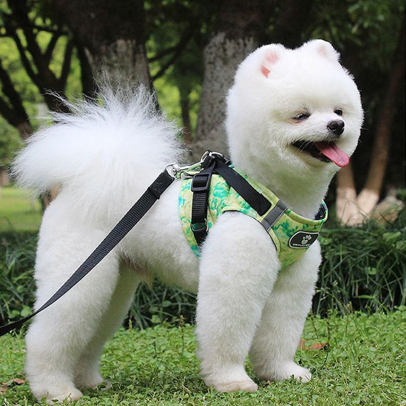 LED Reflective Dog Harness Set