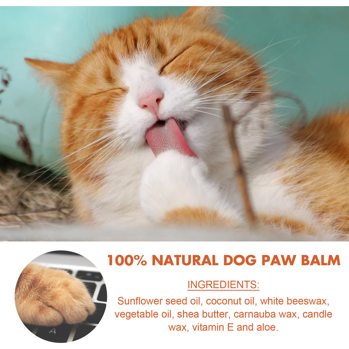 Paw Protection Balm — Winter Care