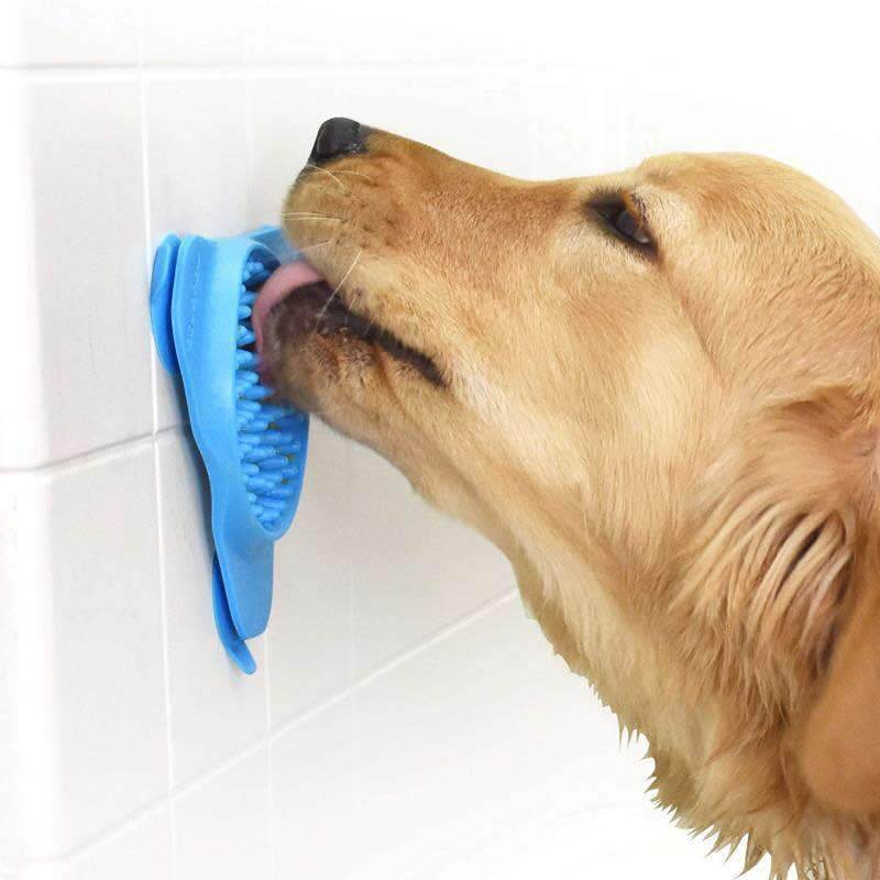 Pet suction cup slow food bowl - Moment Pets