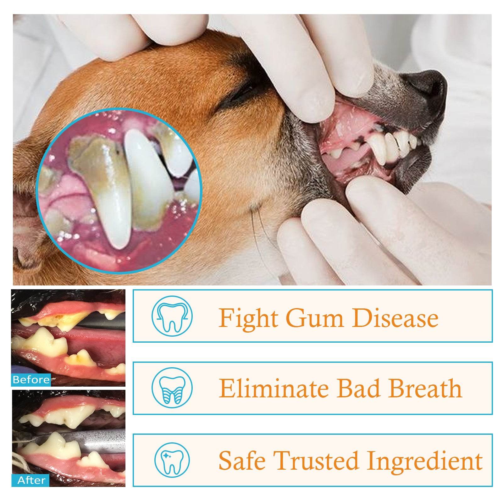 Dog & Cat Teeth Cleaner - Moment Pets