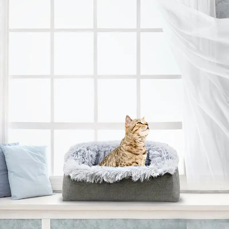 Plush 2-in-1 Cat Bed & Mat