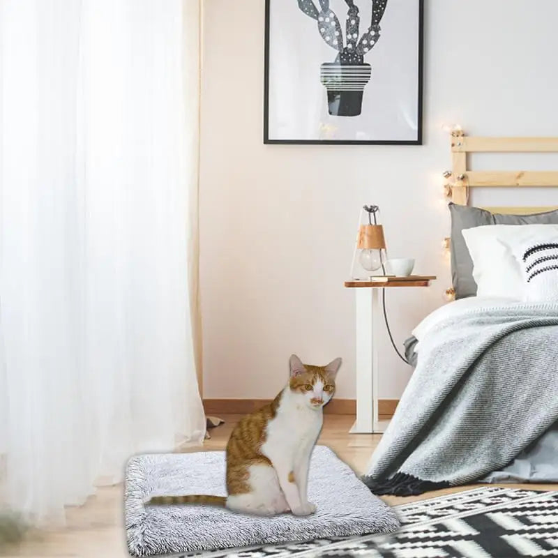 Plush 2-in-1 Cat Bed & Mat