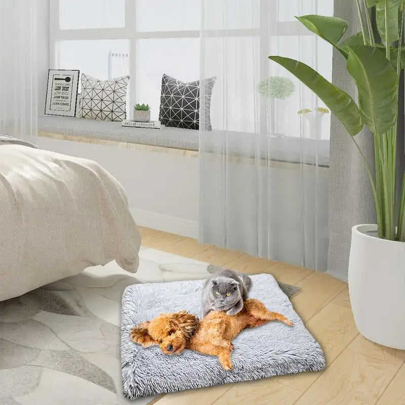 Plush 2-in-1 Cat Bed & Mat