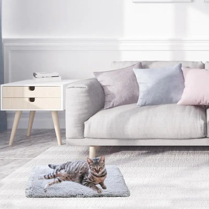 Plush 2-in-1 Cat Bed & Mat