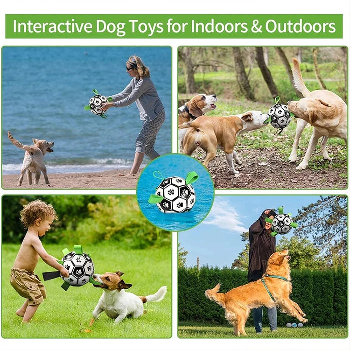 Outdoor Dog Football Toy