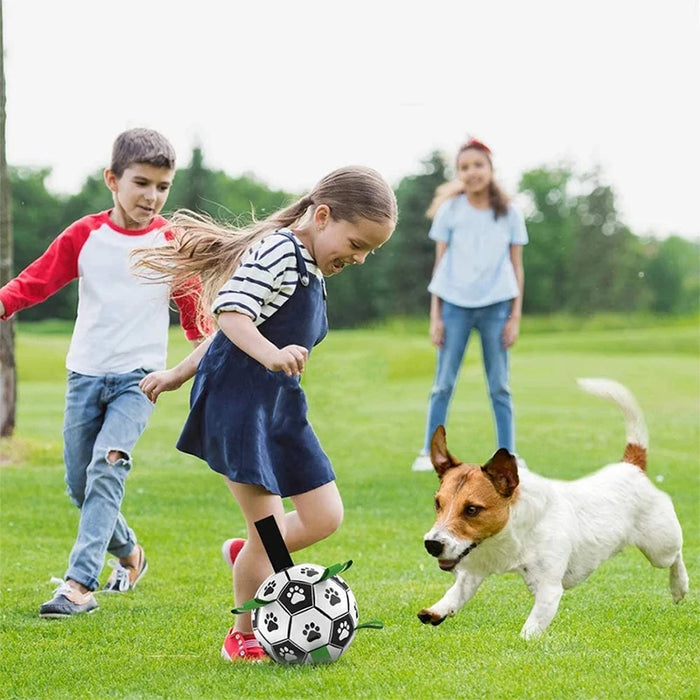 Outdoor Dog Football Toy