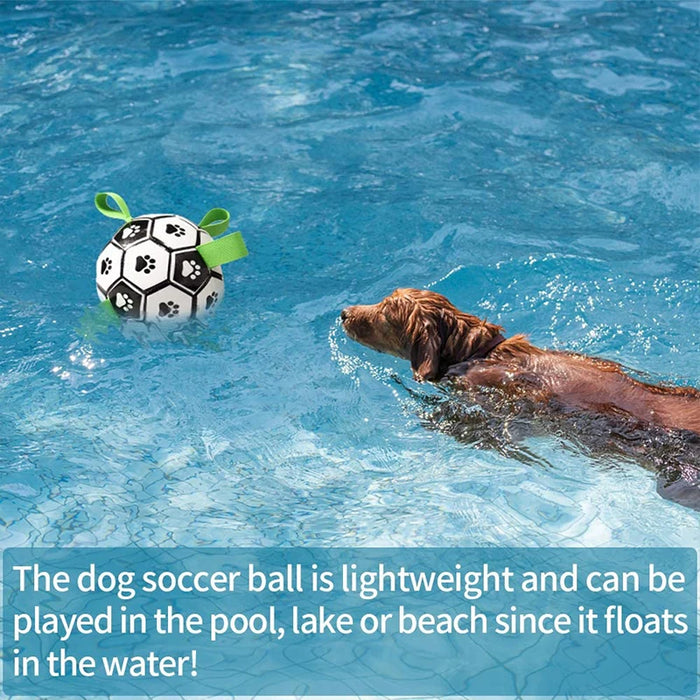 Outdoor Dog Football Toy