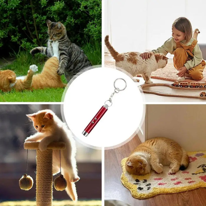 Cat Exercise Laser Pointer