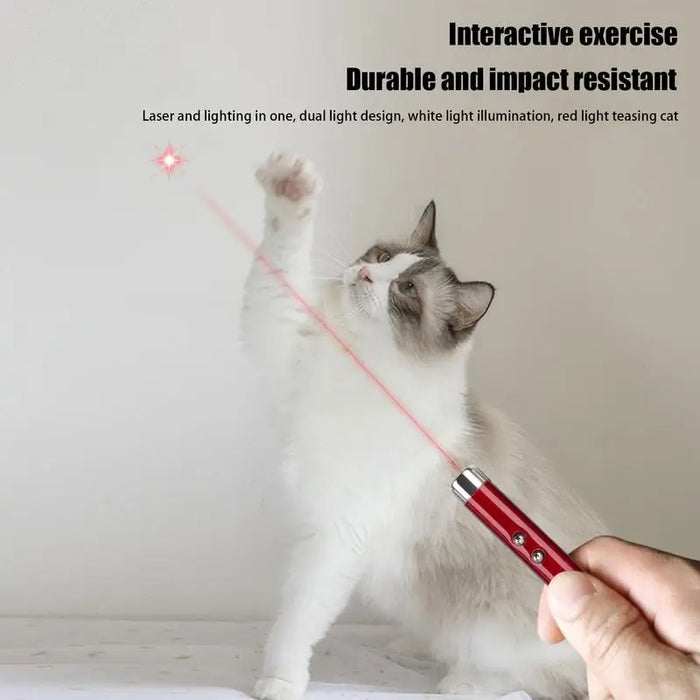 Cat Exercise Laser Pointer