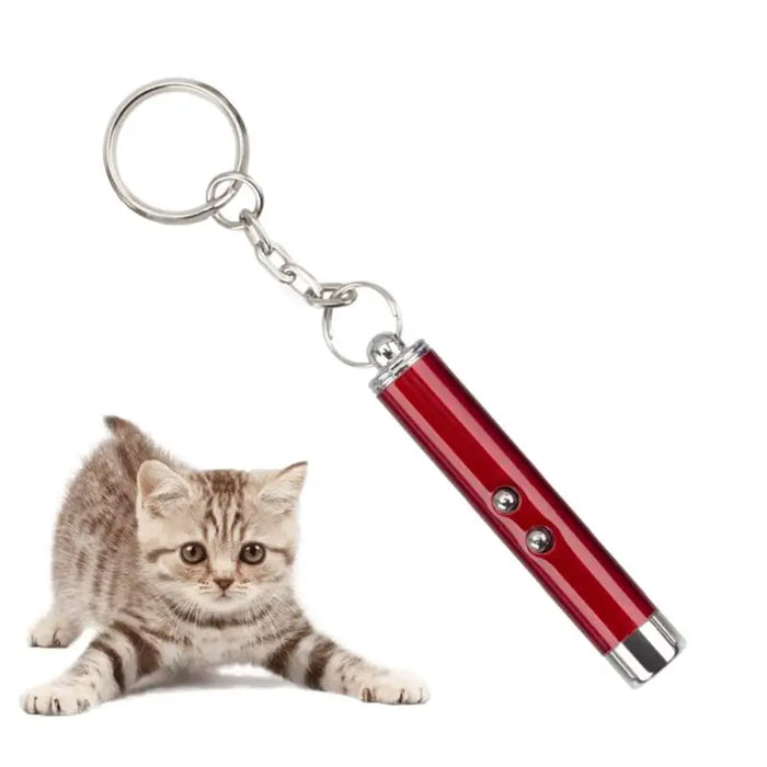 Cat Exercise Laser Pointer