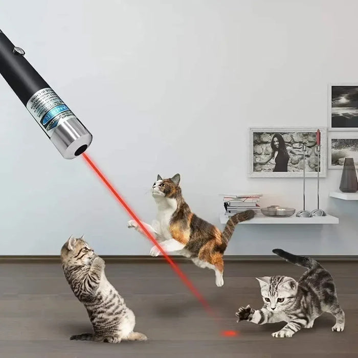 Cat Mini 2 in 1 Laser Pointer