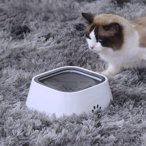 No-Spill Pet Water Bowl - Moment Pets | Everything Your Pet Needs