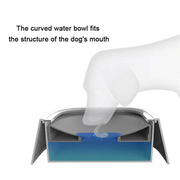 No-Spill Pet Water Bowl - Moment Pets | Everything Your Pet Needs