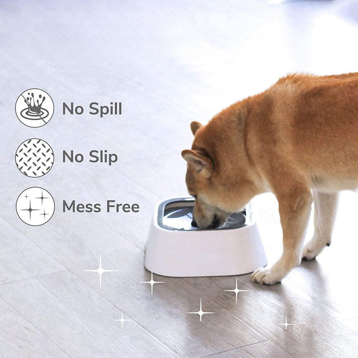 No-Spill Pet Water Bowl - Moment Pets | Everything Your Pet Needs