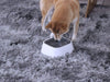 No-Spill Pet Water Bowl - Moment Pets | Everything Your Pet Needs