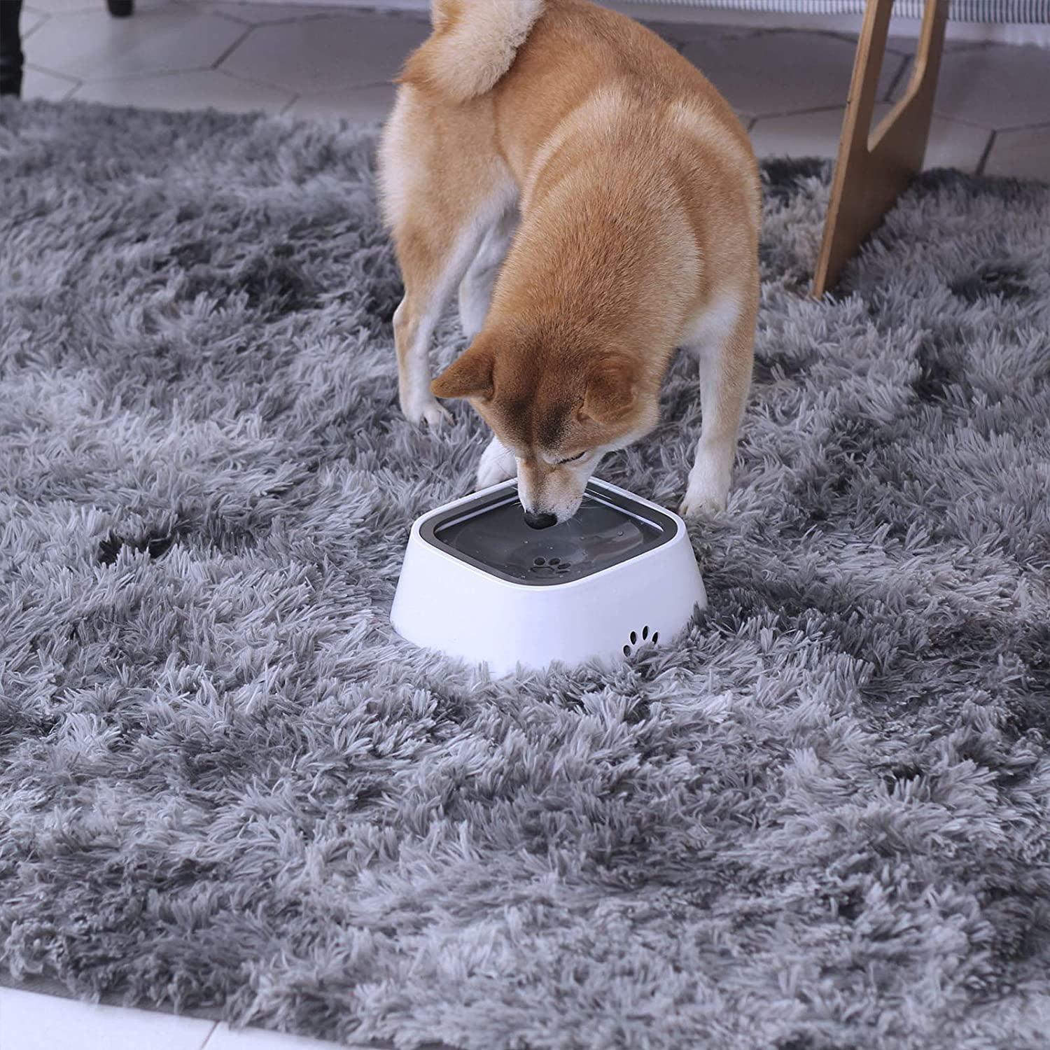 No-Spill Pet Water Bowl - Moment Pets | Everything Your Pet Needs