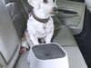 No-Spill Pet Water Bowl - Moment Pets | Everything Your Pet Needs