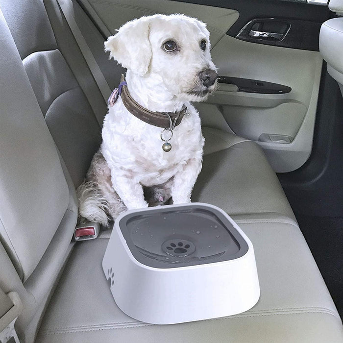 No-Spill Pet Water Bowl - Moment Pets | Everything Your Pet Needs