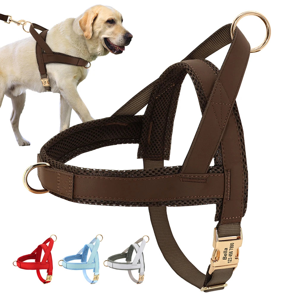 Adjustable Dog No Pull Harness - Moment Pets