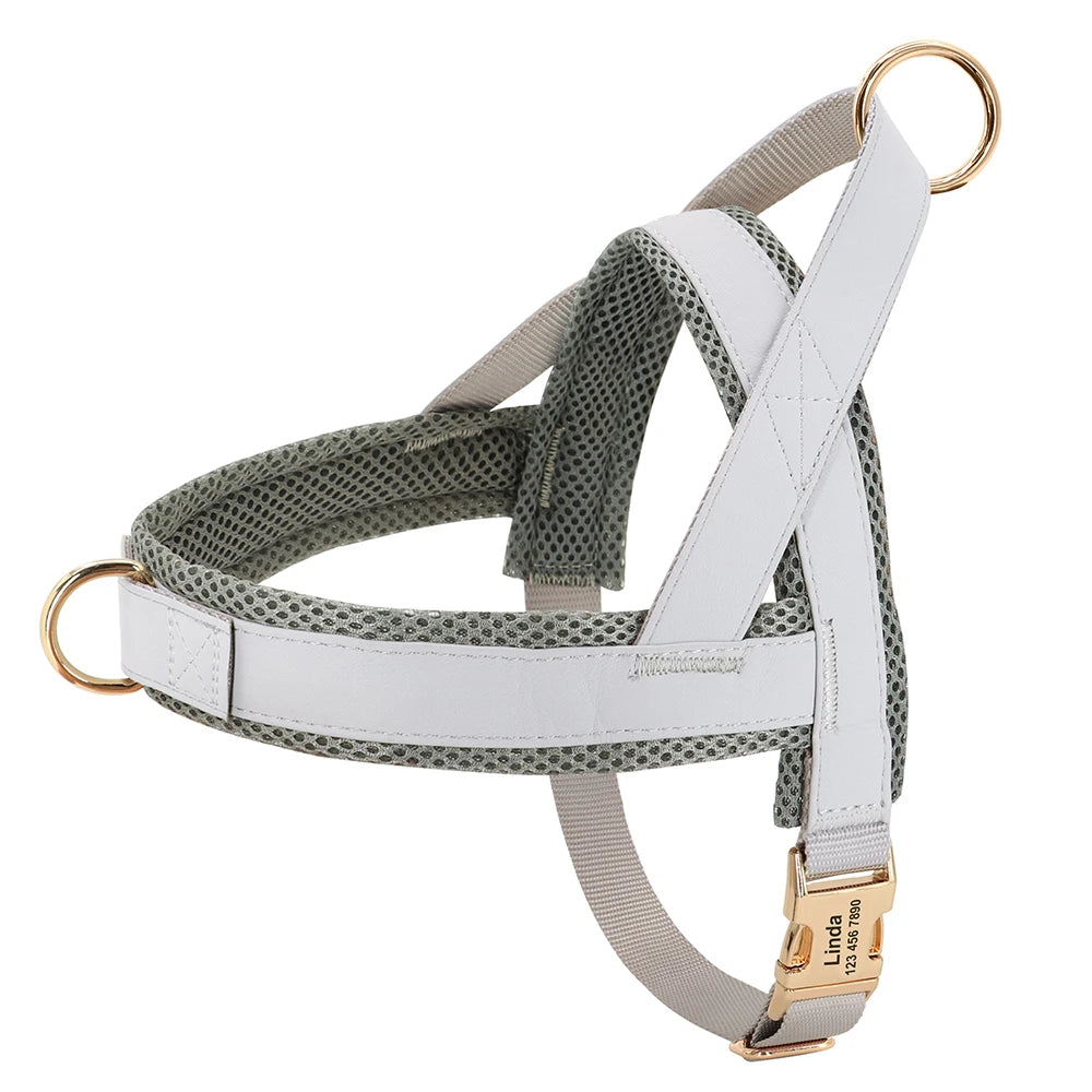 Adjustable Dog No Pull Harness - Moment Pets