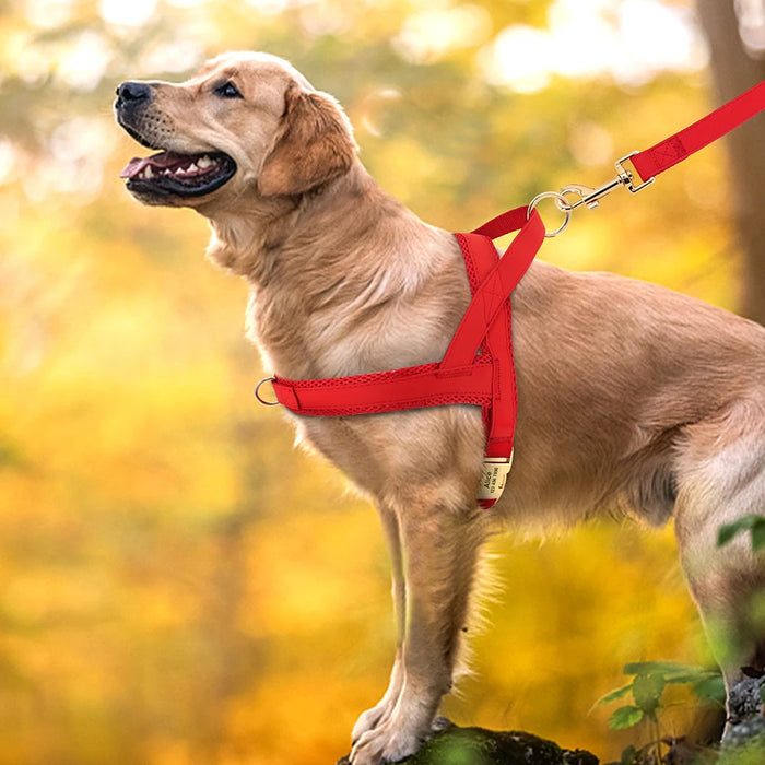 Adjustable Dog No Pull Harness