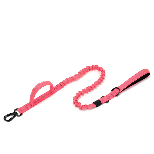 Nylon Dog Collar Leash Set