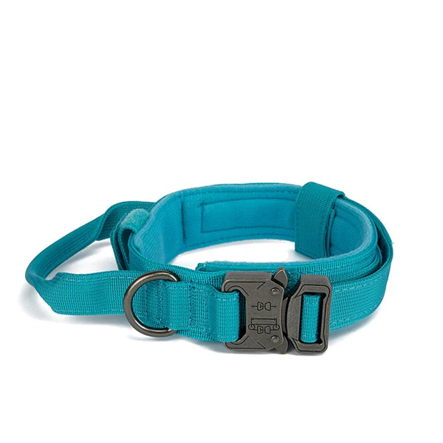 Nylon Dog Collar Leash Set