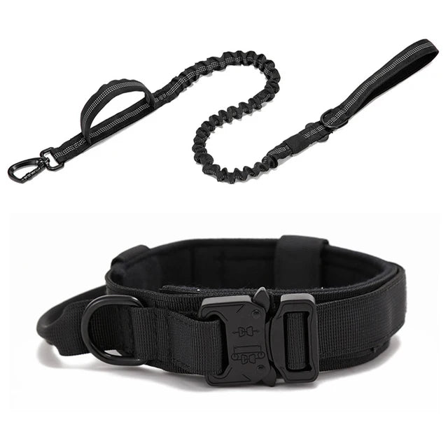 Nylon Dog Collar Leash Set