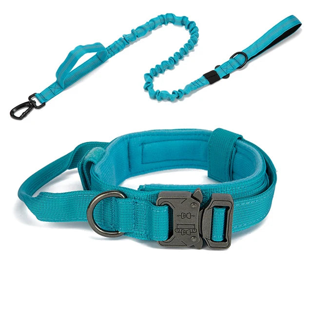 Nylon Dog Collar Leash Set