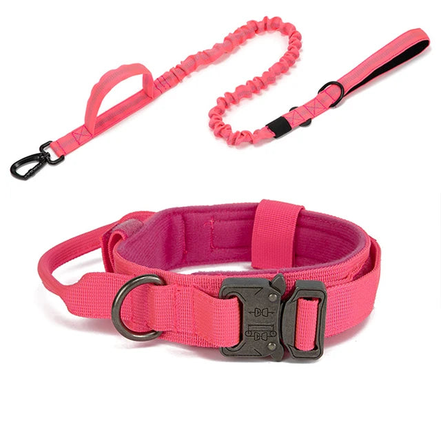 Nylon Dog Collar Leash Set