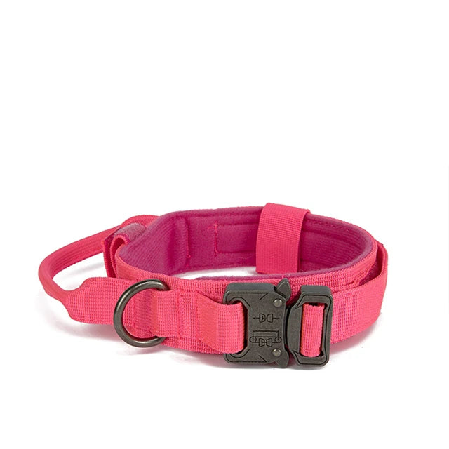 Nylon Dog Collar Leash Set