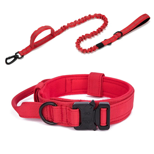 Nylon Dog Collar Leash Set