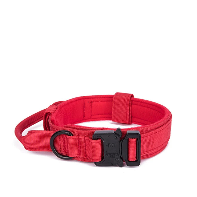 Nylon Dog Collar Leash Set