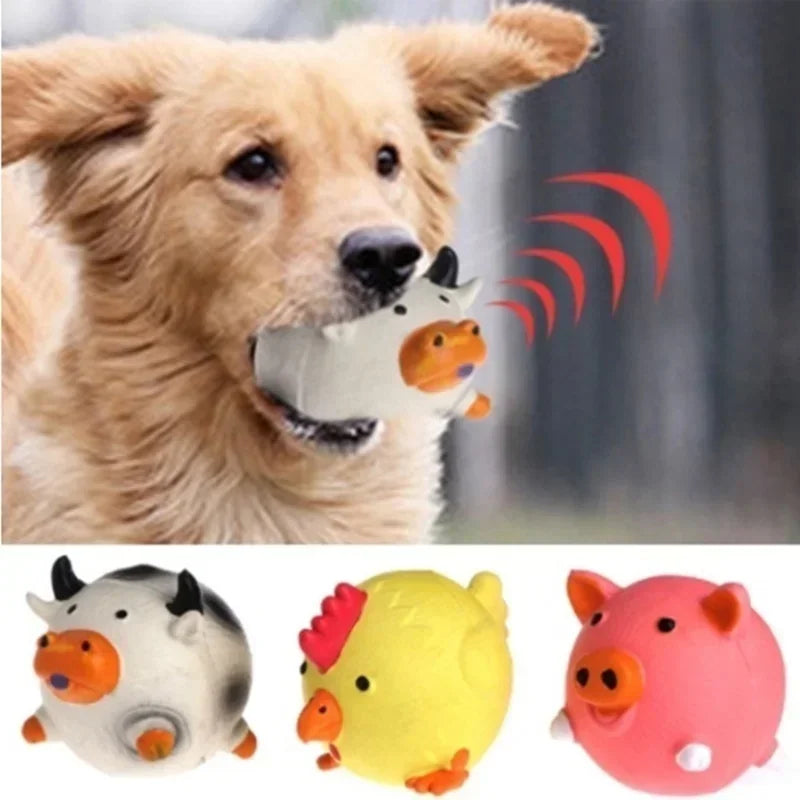 Dog vocal toy - Moment Pets