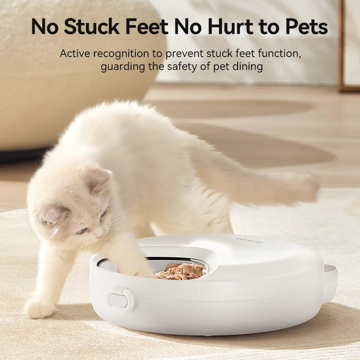 Automatic Cat 4 Meals Feeder