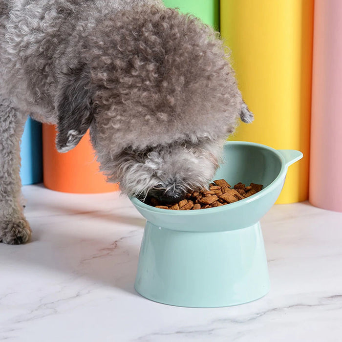 Raised Cat Food Bowls